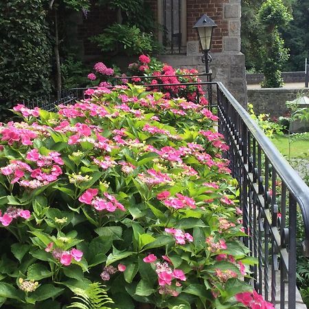 La Villa Des Roses 杜柏 外观 照片