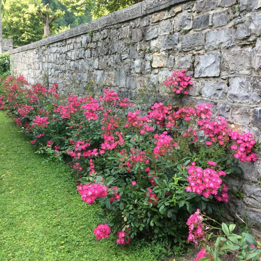 La Villa Des Roses 杜柏 外观 照片